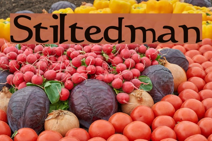 Stiltedman Font examples