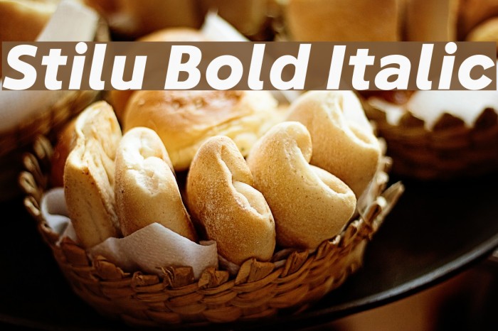 Stilu Bold Italic Font examples
