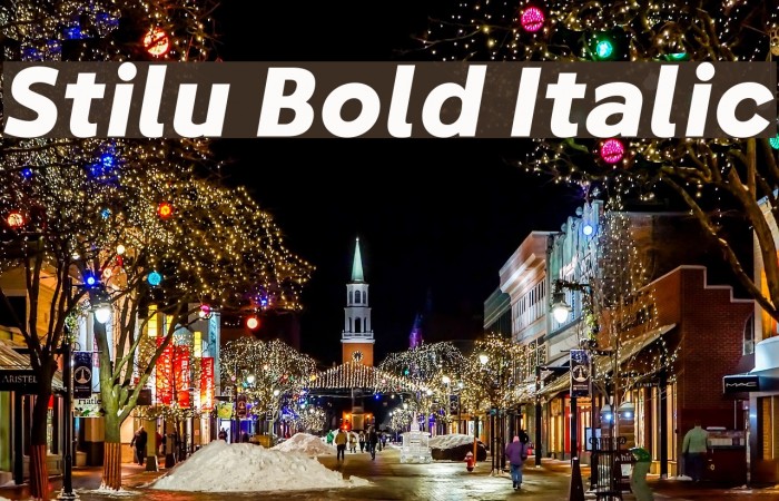 Stilu Bold Italic Font examples