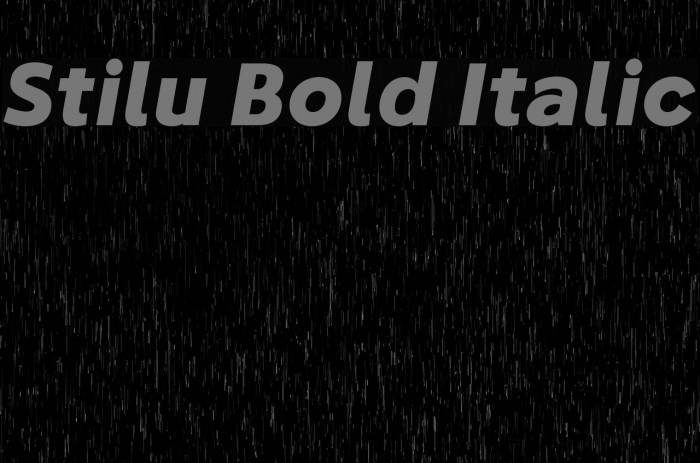 Stilu Bold Italic Font examples