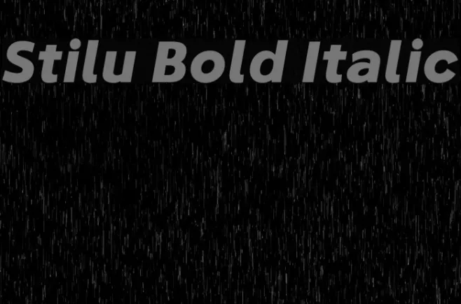 Stilu Bold Italic Example 3