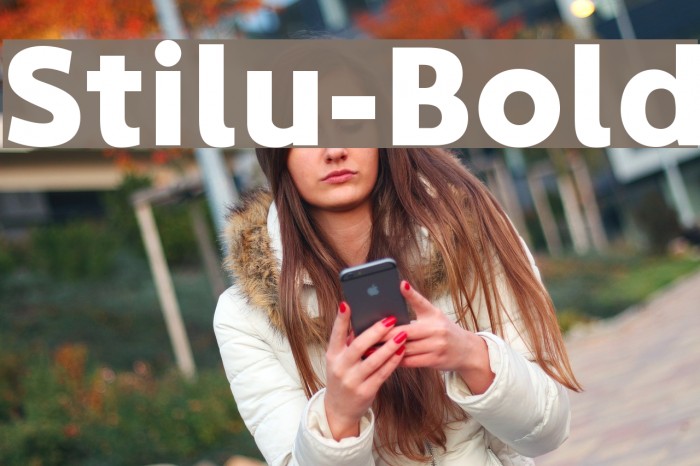 Stilu-Bold Font examples