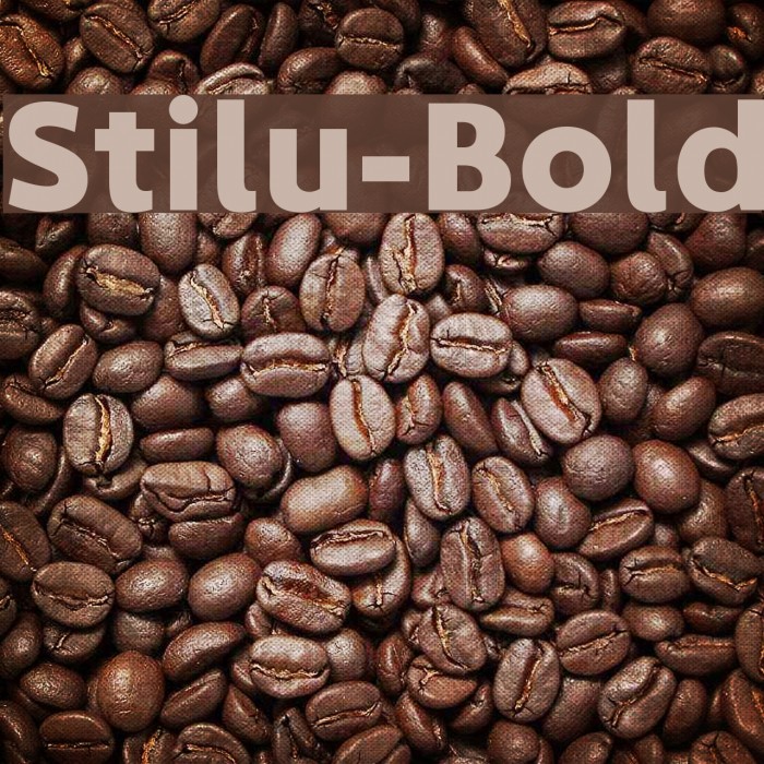 Stilu-Bold Font examples