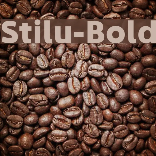 Stilu-Bold Example 3