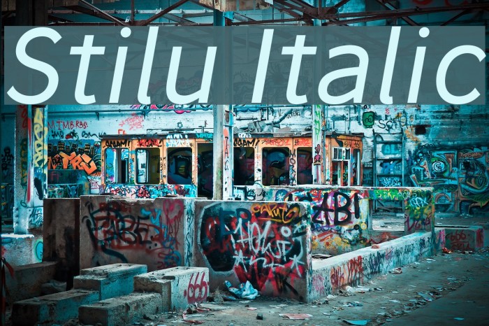 Stilu Italic Font examples