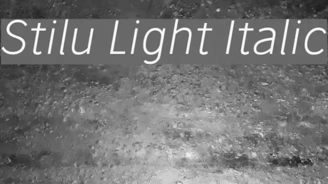 Stilu Light Italic Font examples
