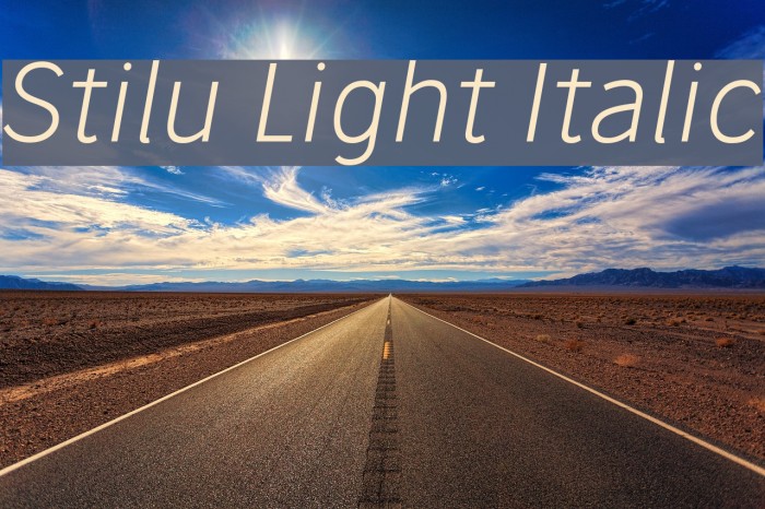 Stilu Light Italic Font examples