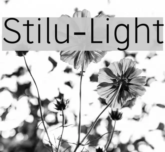Stilu-Light Font examples