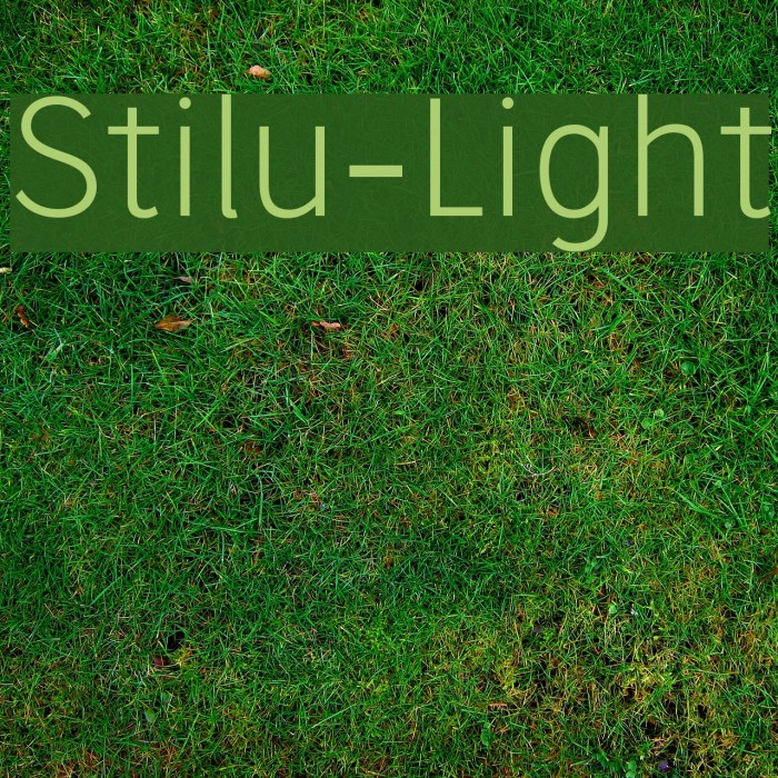 Stilu-Light Font examples