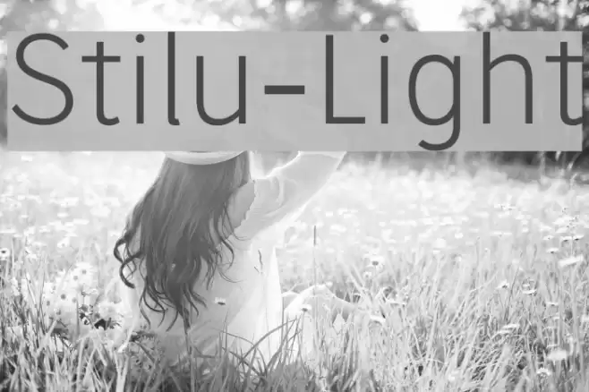 Stilu-Light Font examples