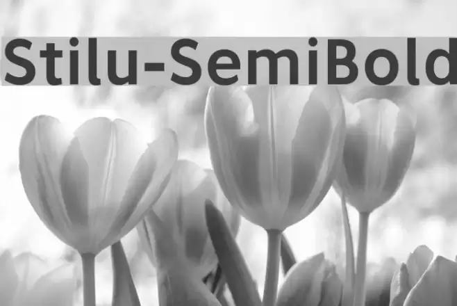 Stilu-SemiBold Font examples