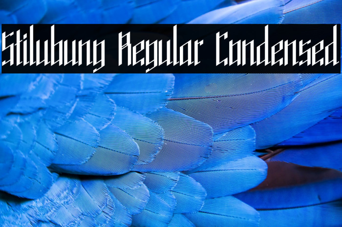 Stilubung Regular Condensed Example 1