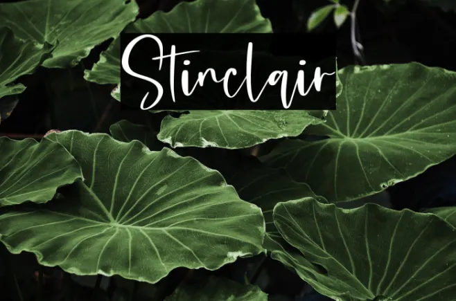 Stinclair Example 2