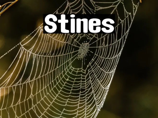 Stines Example 1