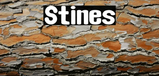 Stines Example 2