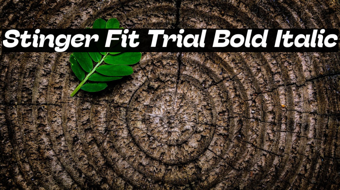 Stinger Fit Trial Bold Italic Example 1
