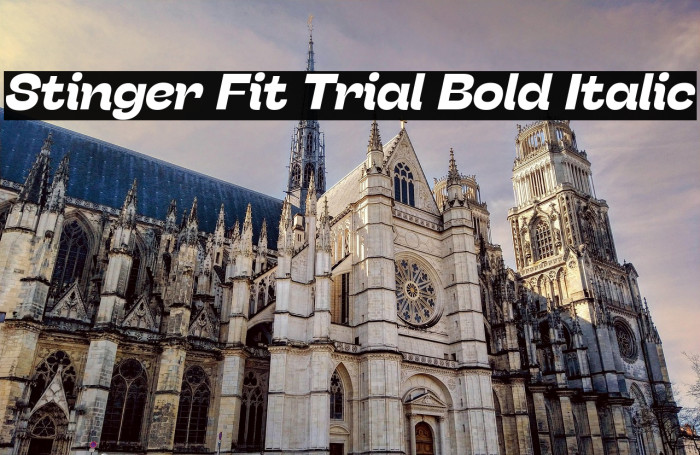 Stinger Fit Trial Bold Italic Example 2