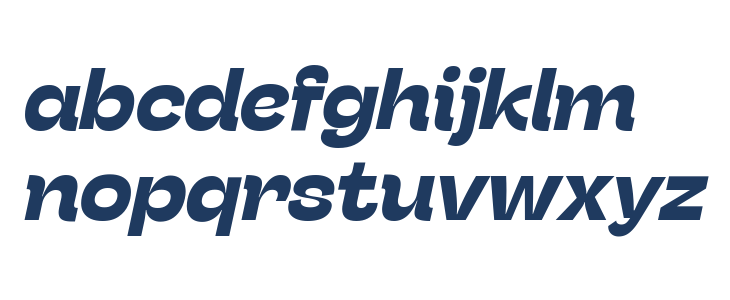 Stinger Fit Trial Bold Italic Lowercase