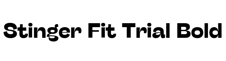 Stinger Fit Trial Bold  Frei Schriftart Herunterladen