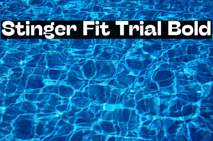 Stinger Fit Trial Bold Example 1