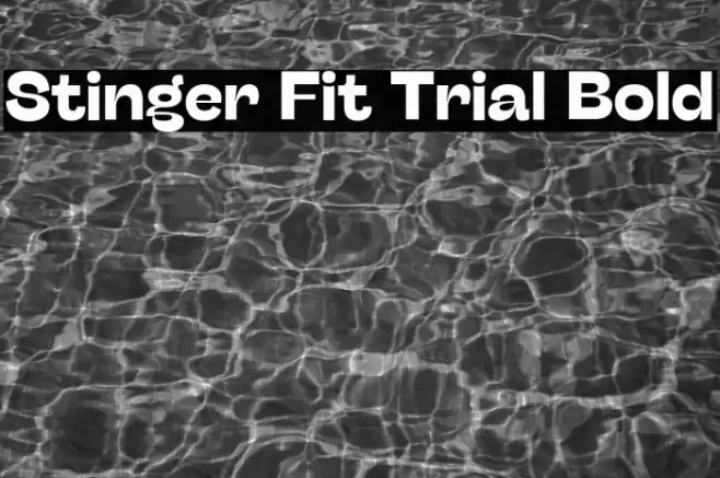 Stinger Fit Trial Bold Font examples
