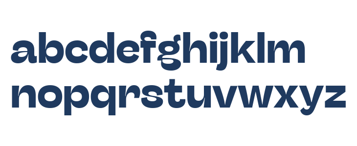 Stinger Fit Trial Bold Lowercase