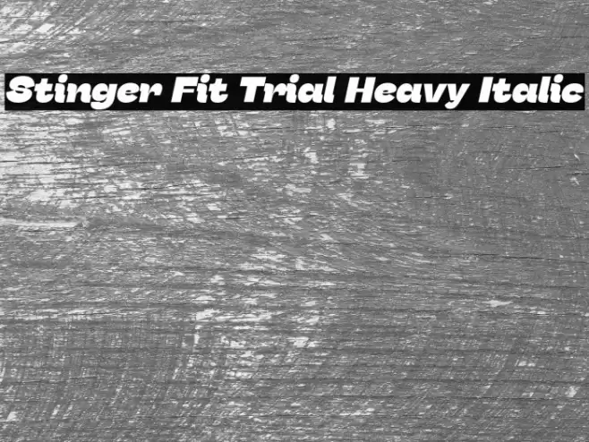 Stinger Fit Trial Heavy Italic Font examples