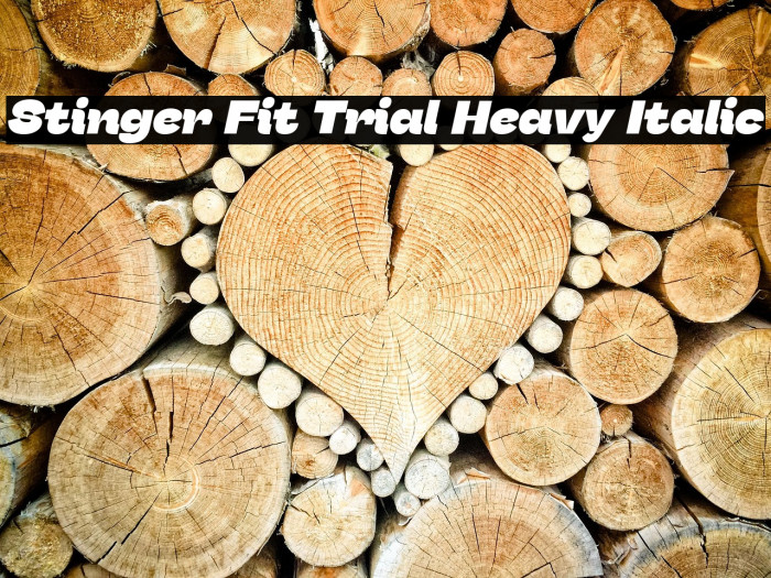 Stinger Fit Trial Heavy Italic Example 2