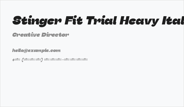 Stinger Fit Trial Heavy Italic Business Card