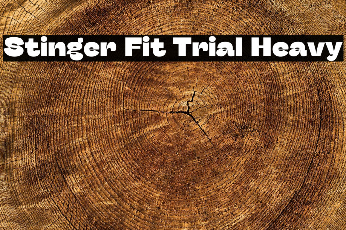 Stinger Fit Trial Heavy Example 1