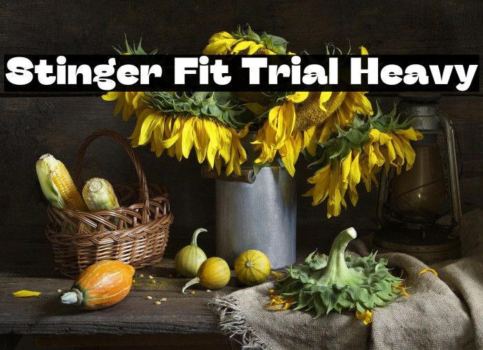 Stinger Fit Trial Heavy Example 2