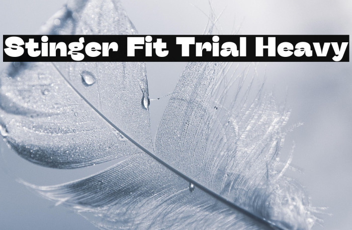 Stinger Fit Trial Heavy Example 3