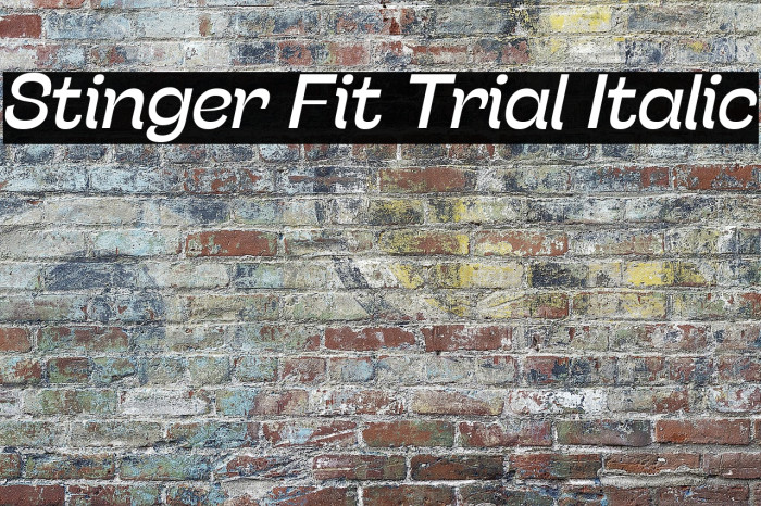 Stinger Fit Trial Italic Example 2