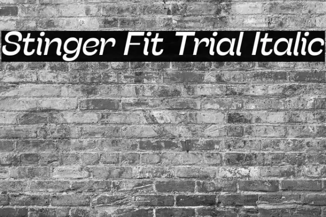 Stinger Fit Trial Italic Font examples