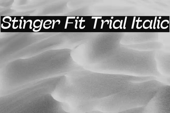 Stinger Fit Trial Italic Font examples
