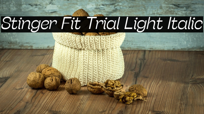 Stinger Fit Trial Light Italic Example 1
