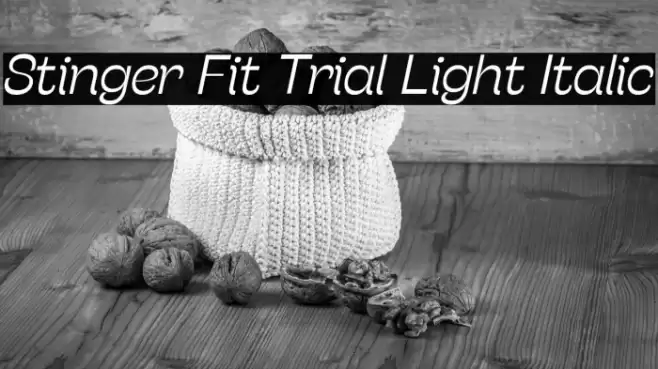 Stinger Fit Trial Light Italic Font examples