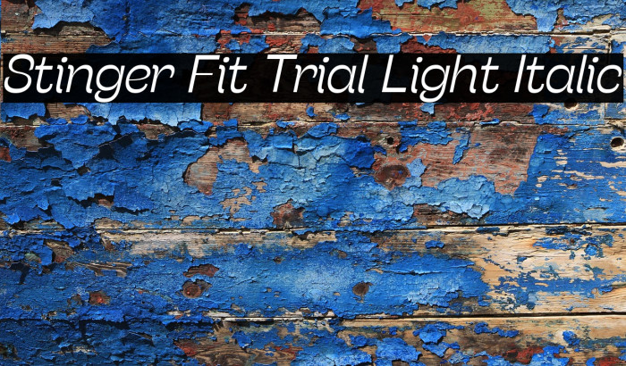 Stinger Fit Trial Light Italic Example 2