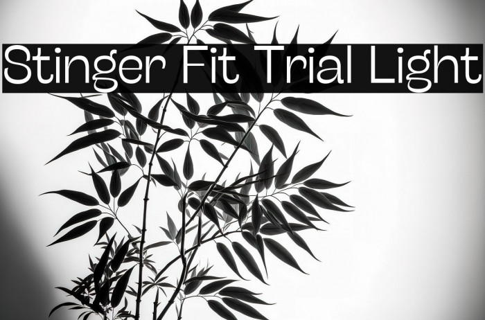 Stinger Fit Trial Light Example 1