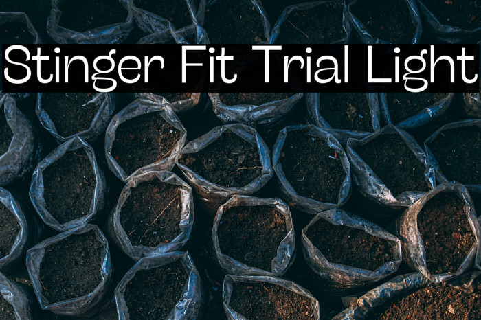 Stinger Fit Trial Light Example 2