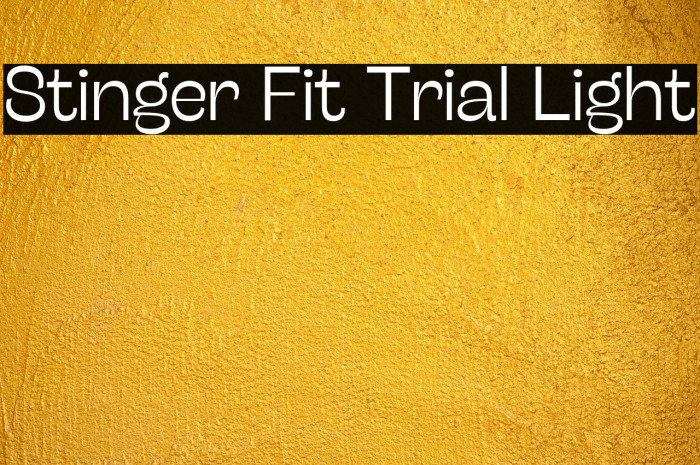 Stinger Fit Trial Light Example 3