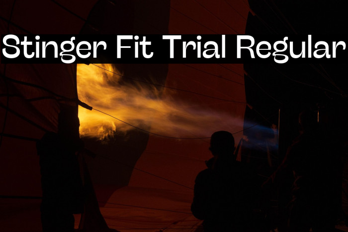Stinger Fit Trial Regular Example 1