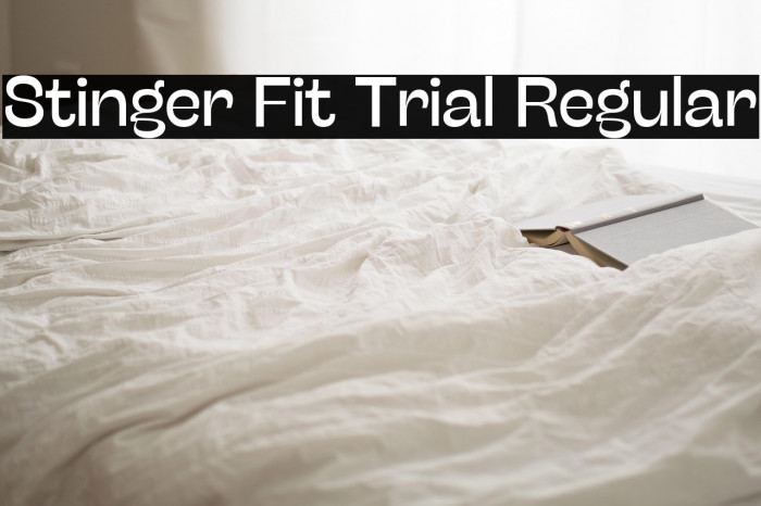 Stinger Fit Trial Regular Example 2