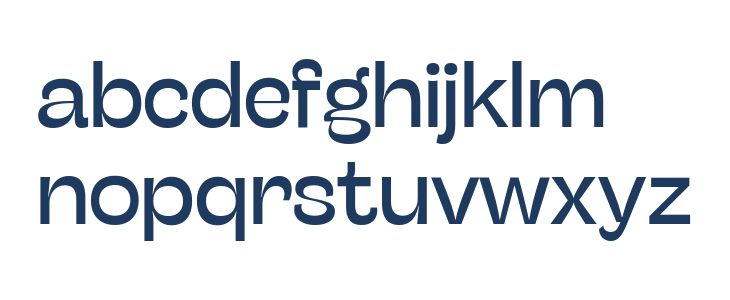 Stinger Fit Trial Regular Lowercase