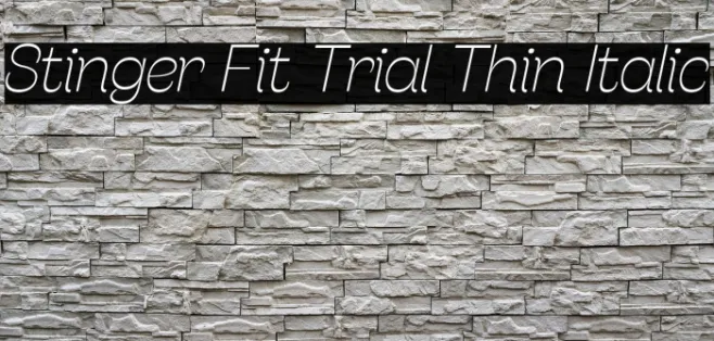Stinger Fit Trial Thin Italic Example 1