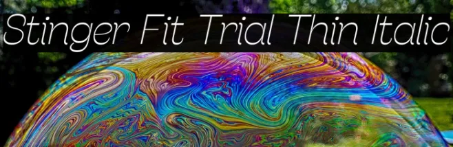 Stinger Fit Trial Thin Italic Example 3