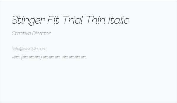 Stinger Fit Trial Thin Italic Business Card