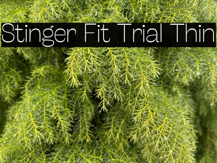 Stinger Fit Trial Thin Example 1