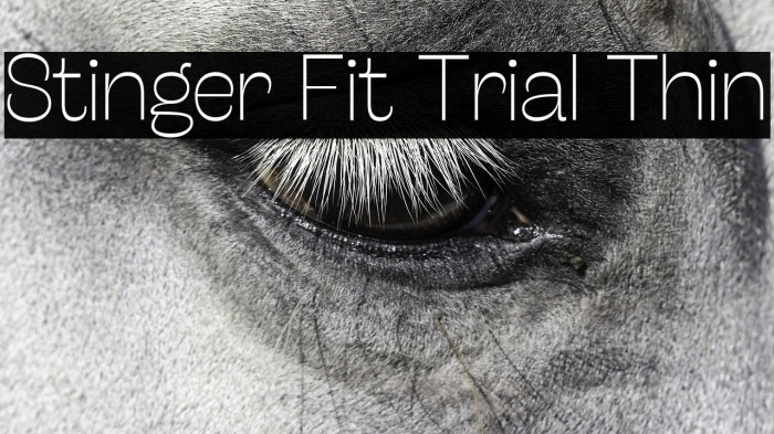 Stinger Fit Trial Thin Example 2