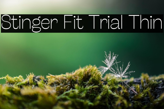 Stinger Fit Trial Thin Example 3